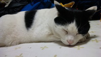 まいった 2012/02/24 21:33:58