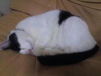 今日のヴォイス 2012/05/03 21:27:31