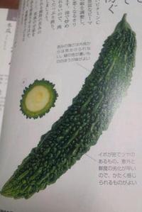 今日は、ゴーヤの日ですって 2012/05/08 22:08:21