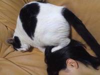 今日のヴォイス 2012/07/20 21:30:33