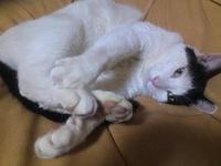 今日のヴォイス 2012/05/15 21:14:29