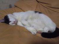 バンツじゃん！！って 2012/08/10 00:01:25