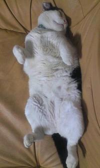 今日のヴォイス 2012/06/05 01:02:17