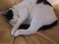 今日のヴォイス 2012/07/08 22:11:01