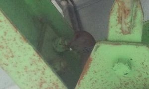 新居？