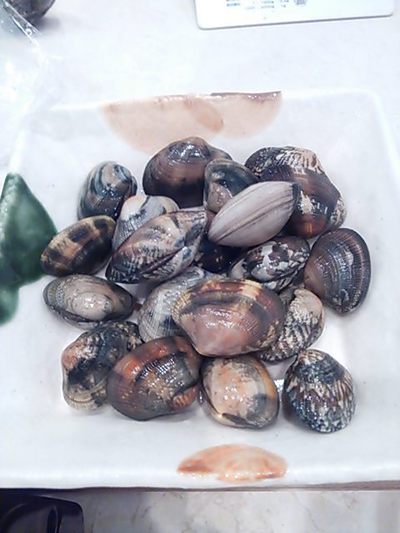 浜名湖産あさり☆