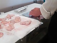あん肝☆ 2014/10/31 16:17:00