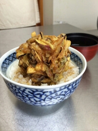野菜のかき揚げ丼☆