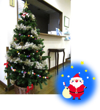 Christmas tree 2013/12/18 15:44:10