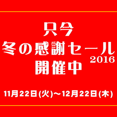 2016_11_SALE