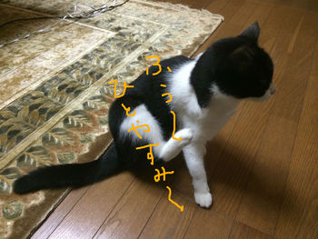 毛づくろい３