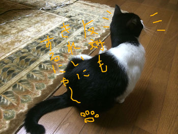 毛づくろい４
