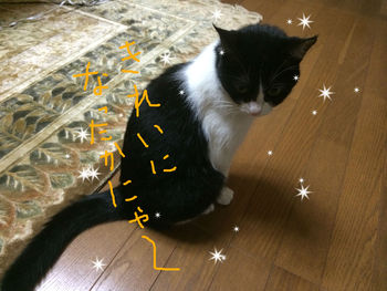 毛づくろい７