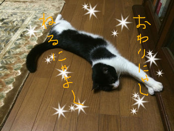 毛づくろい９