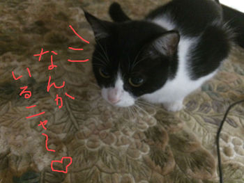 なんか見つけた！