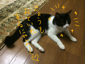 毛づくろい１
