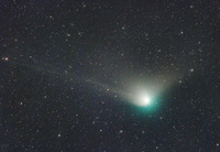ZTF彗星、接近中3 2023/02/02 20:55:30
