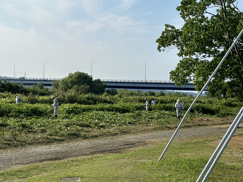 早朝草刈りを実施しました