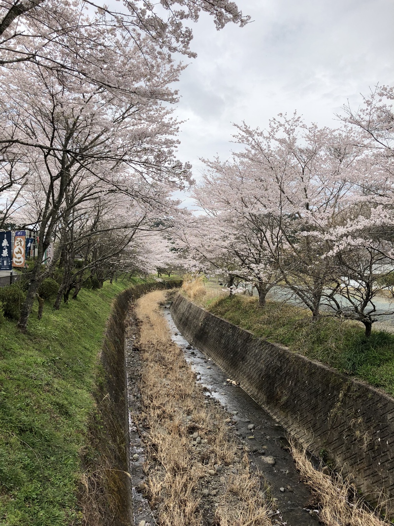 4月のご案内　追加記述