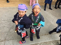 手拭い