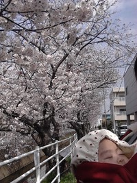 新年度になりました♪ 2014/04/05 11:30:00