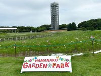 りっぷるとおんTeeさんの浜名湖ガーデンパークレポート！ 2024/09/27 16:16:01