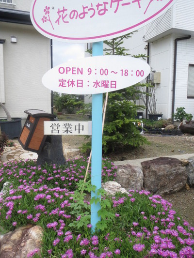ゴーヤ坊や（その２）