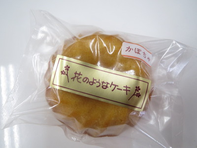 ゴーヤ坊や（終）