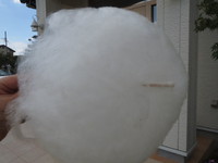 綿あめを作りました 2014/09/26 15:33:21