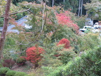 可睡斎の紅葉が進んでいます 2014/10/18 09:14:02