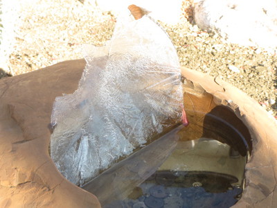 氷