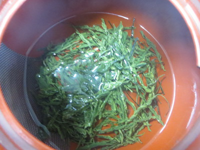 新茶