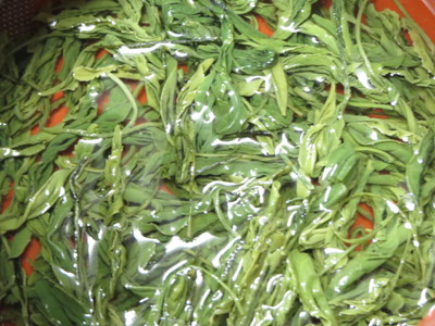 新茶