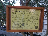 (^-^)参加メンバーです(^-^)