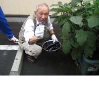 なすジャム作りました。 2015/07/16 18:41:52