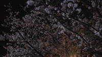 散ったのは桜だけじゃないっ