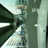 名古屋Hawaiian　festa