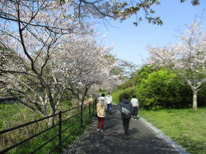 コロナ対策仕様の瞑想会～４月／花川運動公園で瞑想会を開催