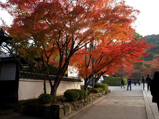 京都　　永観堂