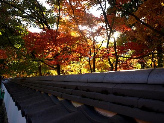 京都　　永観堂