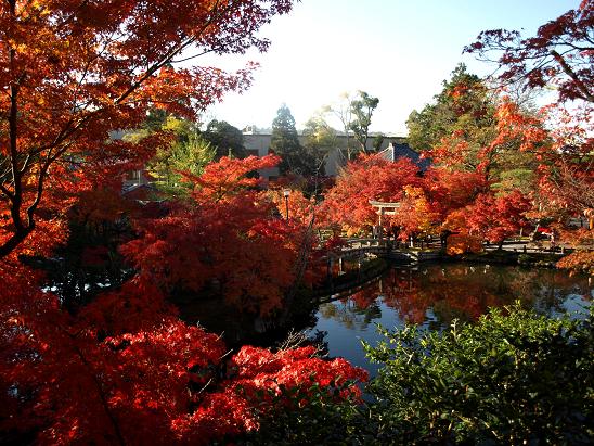 京都　　永観堂