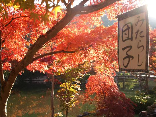 京都　　永観堂