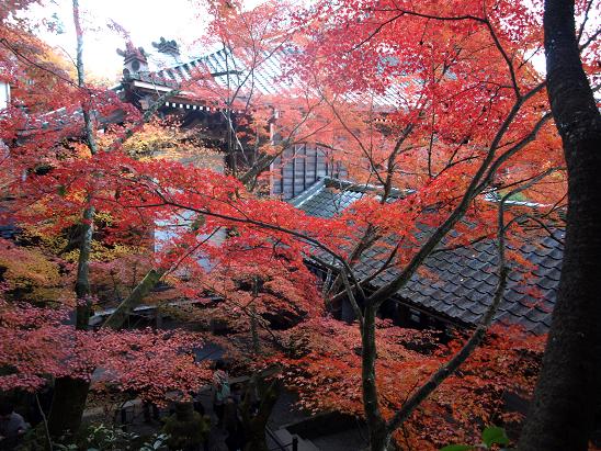 京都　　　永観堂