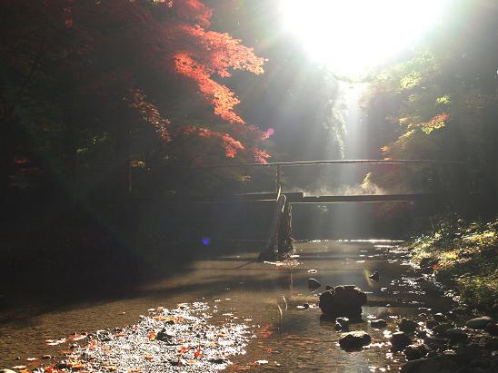 小國神社の紅葉