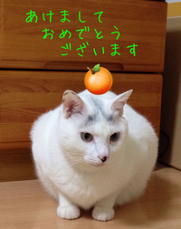 2016年おめでとう☆