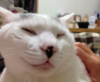 とろける、ほぐれる 2017/03/07 19:01:03
