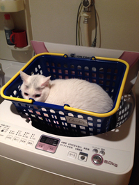 たまにはこんな場所も 2017/03/06 18:00:00