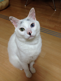 5歳になりました！