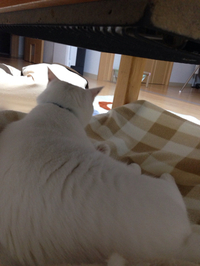 定位置 2016/11/17 19:51:11