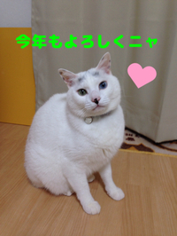 2017年！